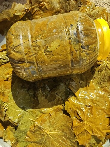 5 kg sarı kapaklı bidonda