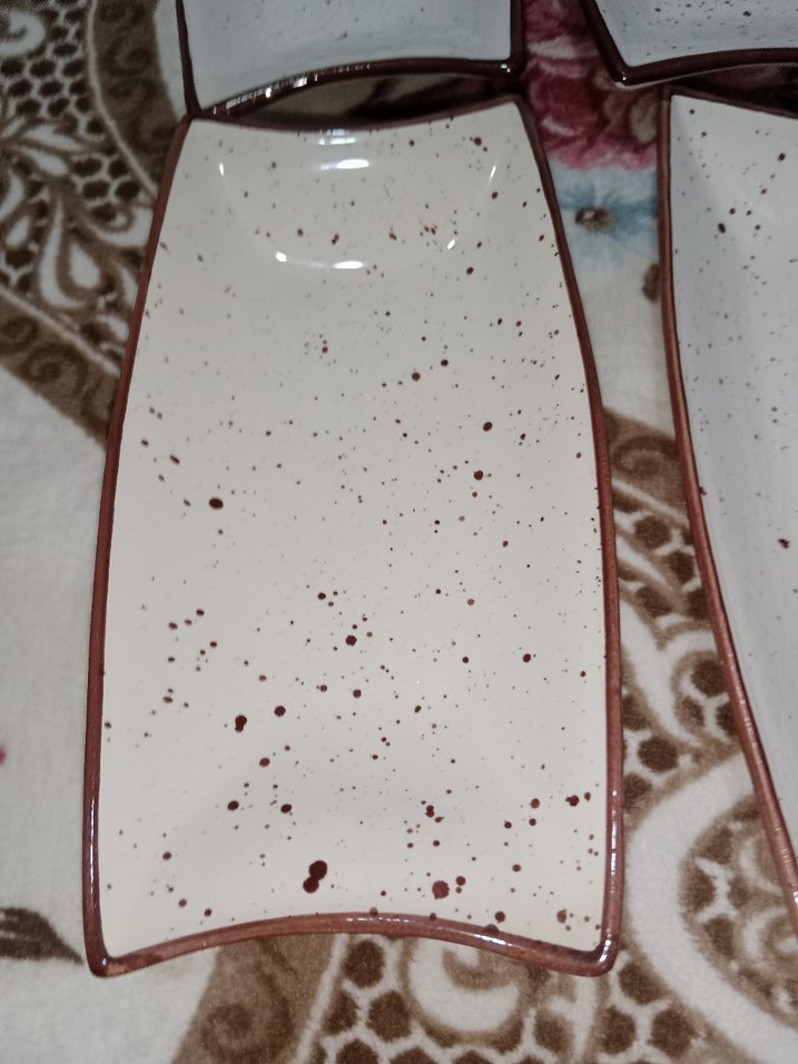 krem Dikdörtgen Seramik Tabak Seti - Görsel 5