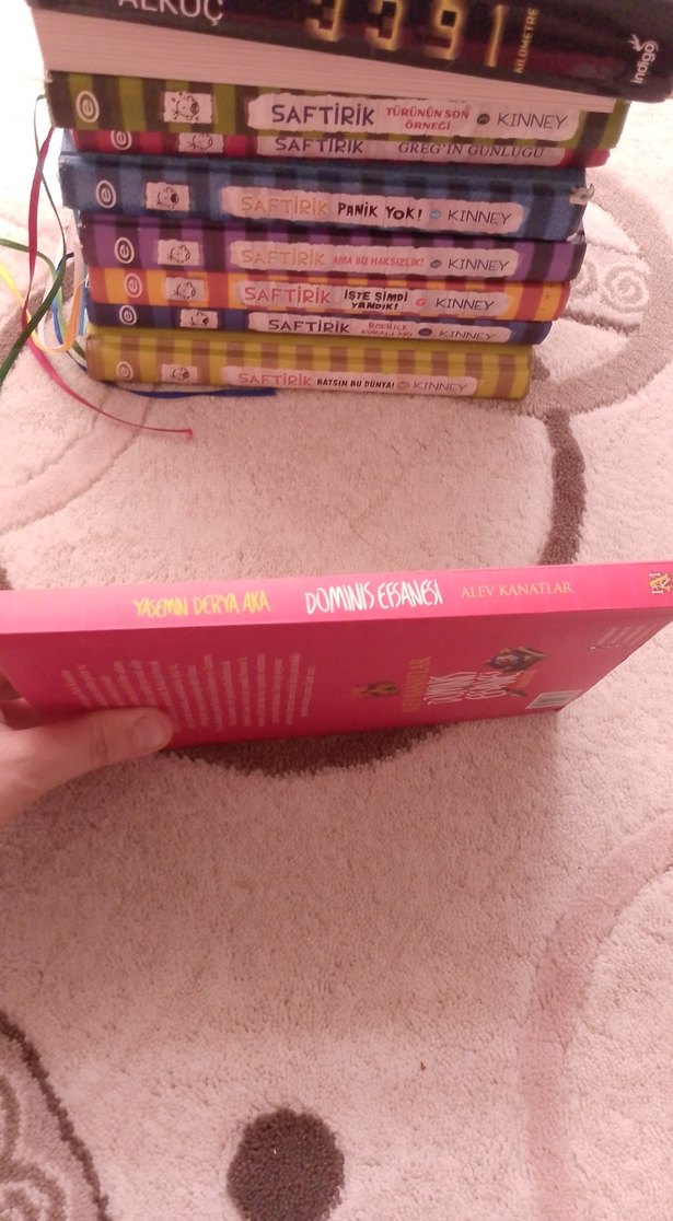 Alev Kanatlar Dominis Efsanesi - Yasemin Derya Aka - Görsel 3