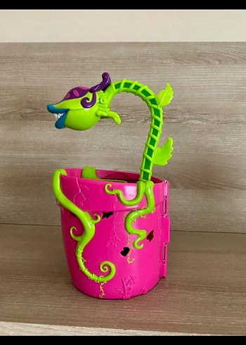 The Zelfs - Görsel 6