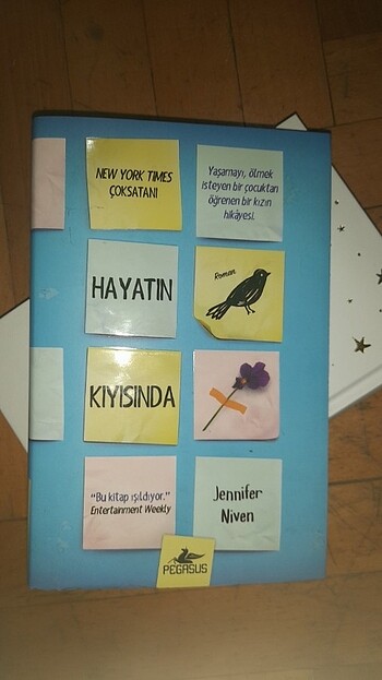 Hayatın Kıyısında
