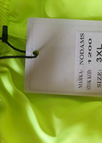 Erkek Şort - Görsel 3