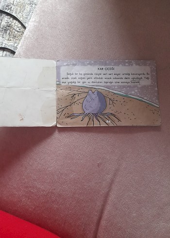 Andersen Masalları Çocuk Kitapları Seti - Görsel 4