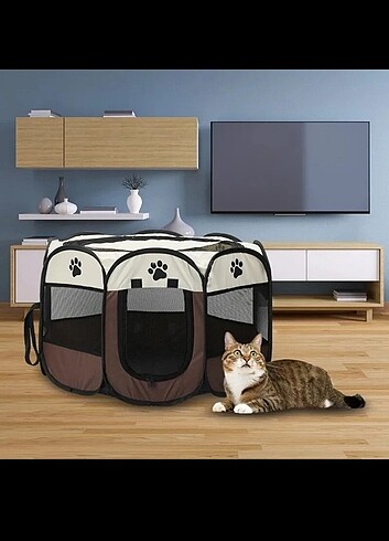 Kedi Doğum Evi