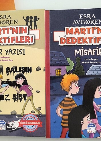 Martının dedektifleri hikaye kitapları 