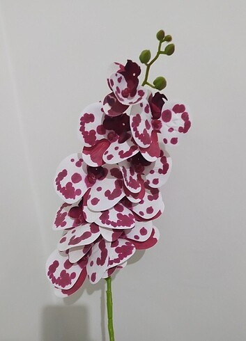  Beden beyaz Renk Gerçekçi benekli orkide 