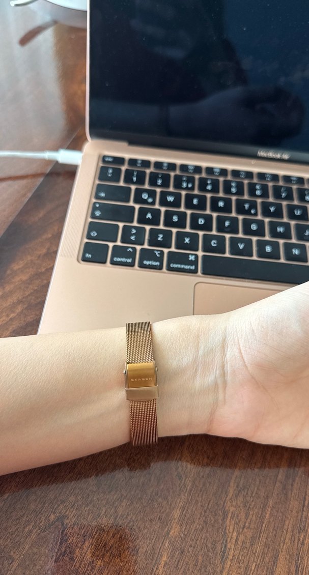 Skagen Klasik Kadın Kol Saati - Görsel 2