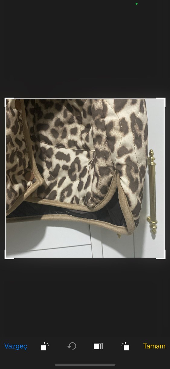 Kahverengi Leopar Desenli Kadın Ceket - Görsel 5