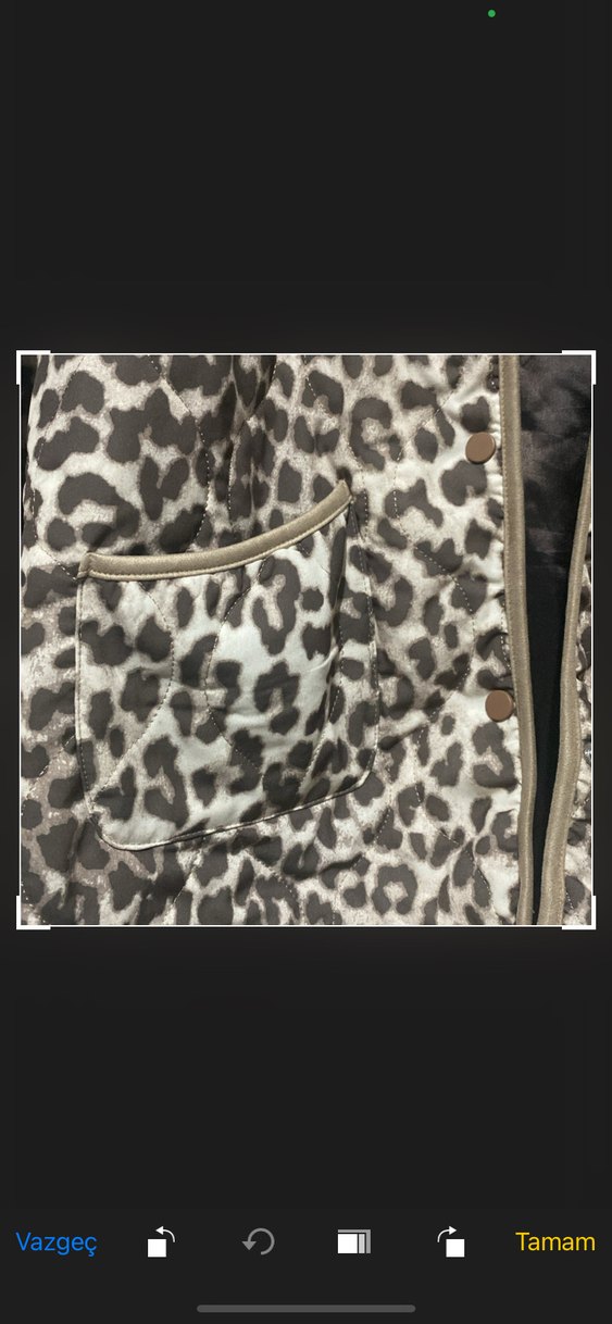 Kahverengi Leopar Desenli Kadın Ceket - Görsel 3