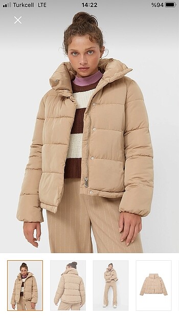 Stradivarius mont