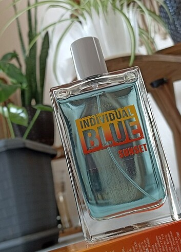 Erkek parfüm 100ml SATILDI