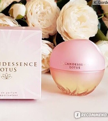 Avon İncandesse lotus