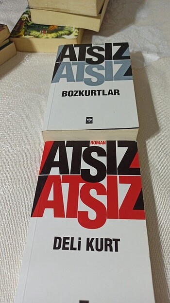 Atsız - bozkurtlar, deli kurt 