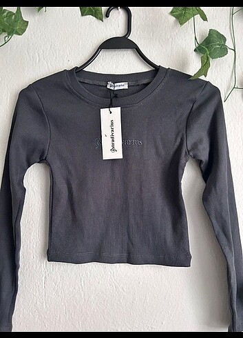 Stradivarius fittili crop 