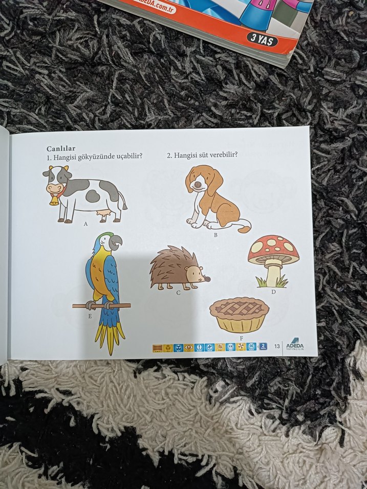 Yeni Neuro-Via Sistemi Dikkati Güçlendirme Seti 3 Yaş - Görsel 2