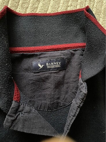 s Beden Barney polo yaka ince kazak
