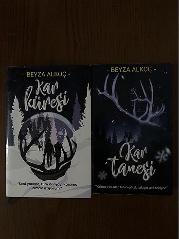 Beyza Alkoç/ kar küresi Serisi