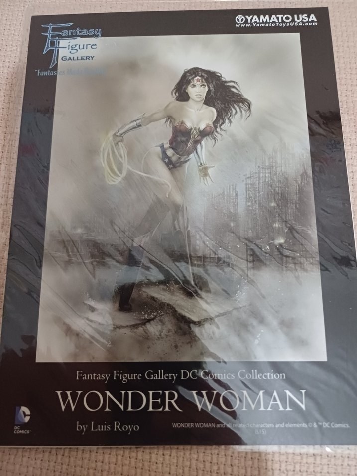 Wonder Woman Statue Heykel Figür - Görsel 4