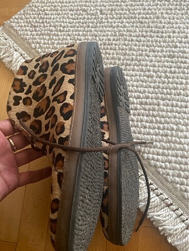 39 Beden Leopar bot