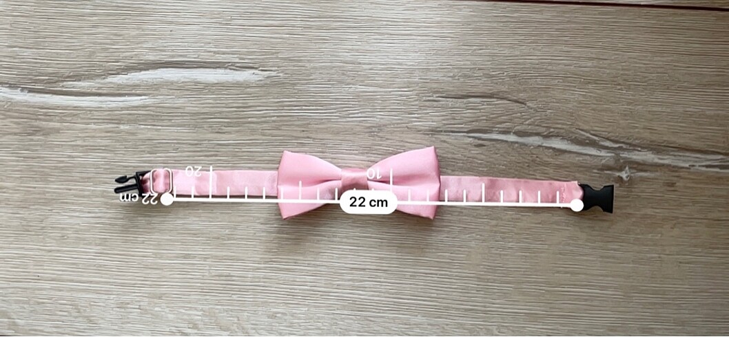 Kedi tasma - Görsel 4