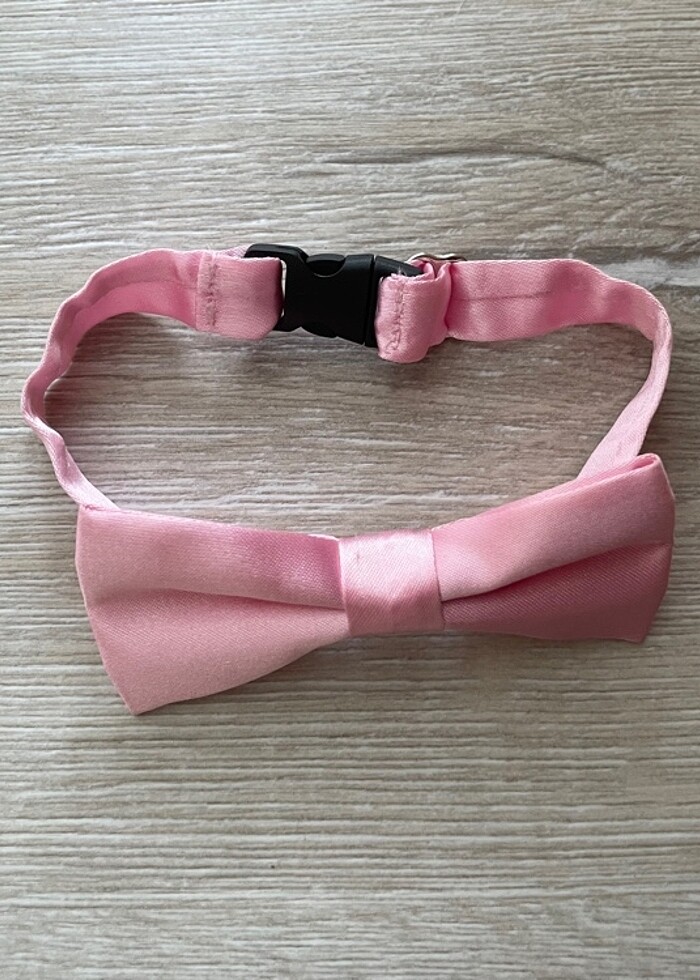 Kedi tasma - Görsel 3