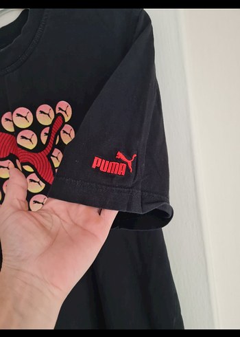 #Puma tsort - Görsel 3