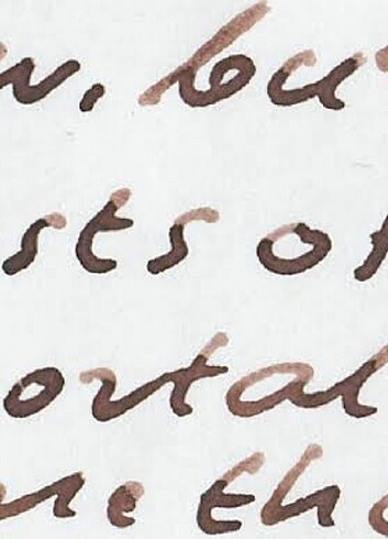  Caran d'Ache organic brown mürekkep