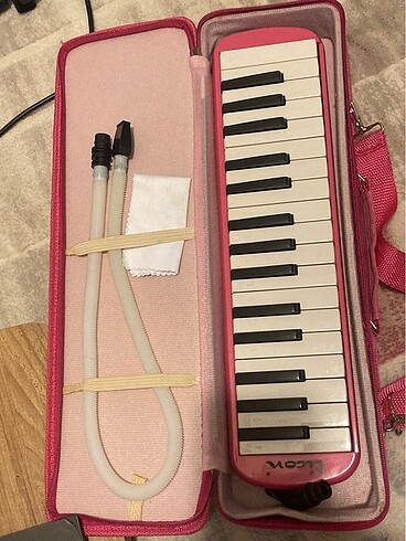  Beden ticon melodika