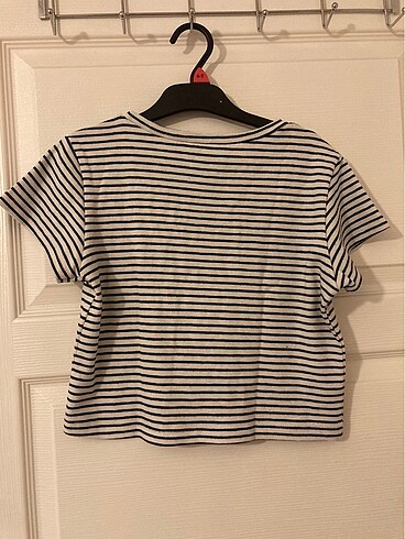 ambar crop - Görsel 4