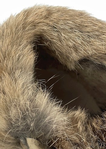 38 | Kürklü Sneaker Bot - Görsel 5