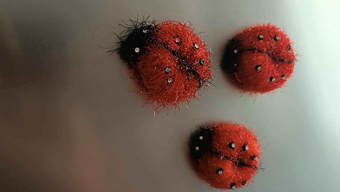 Kırmızı Uğur Böceği magnet Süsleri - Görsel 2