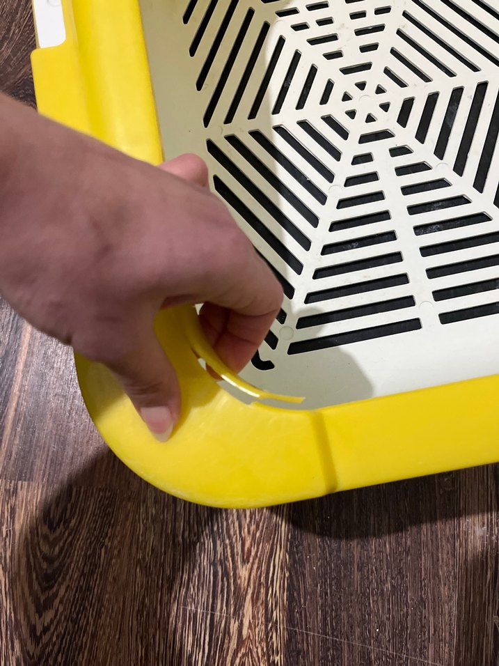 Sarı Kedi Tuvalet Kabı - Görsel 4