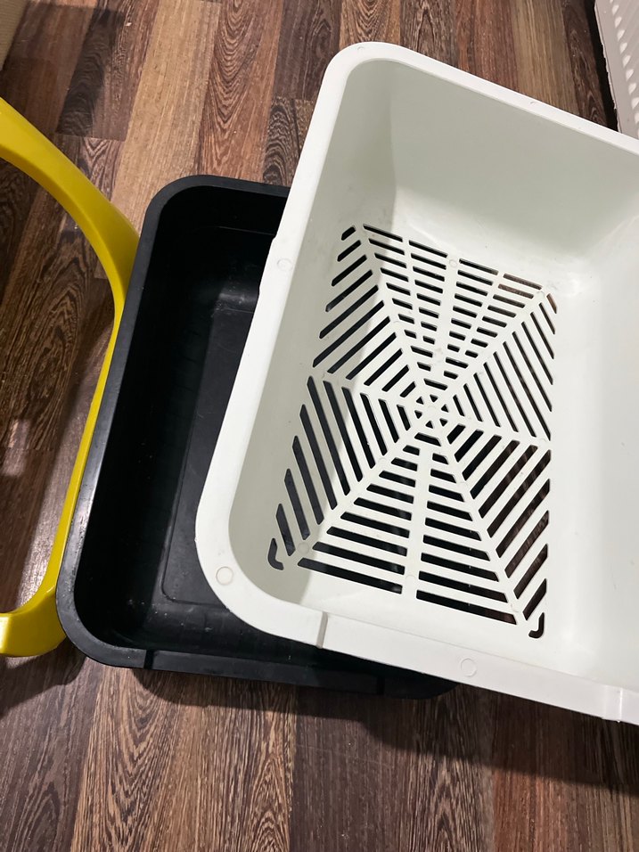 Sarı Kedi Tuvalet Kabı - Görsel 3