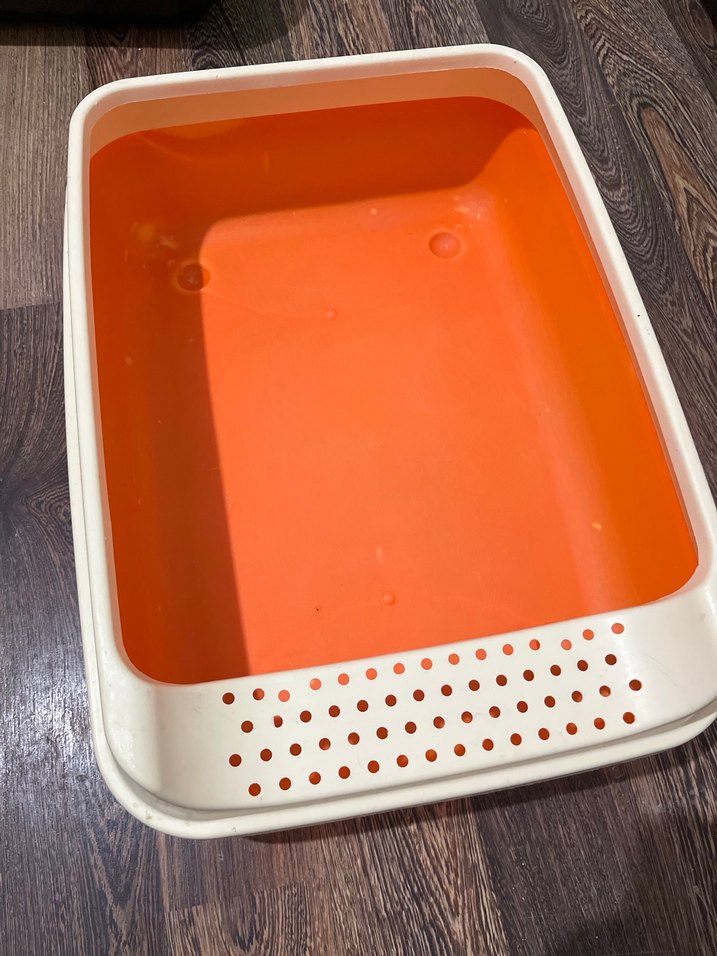 Kedi Tuvalet Kabı - Kırmızı - Görsel 3