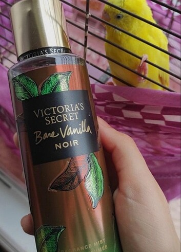 VİCTORİA'S SECRET BARE VANİLLA NOİR 