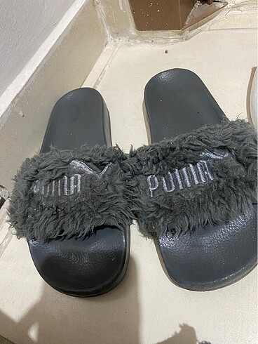 Puma Puma terlik
