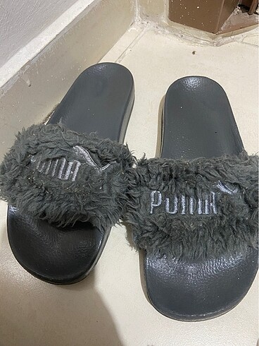 Puma terlik