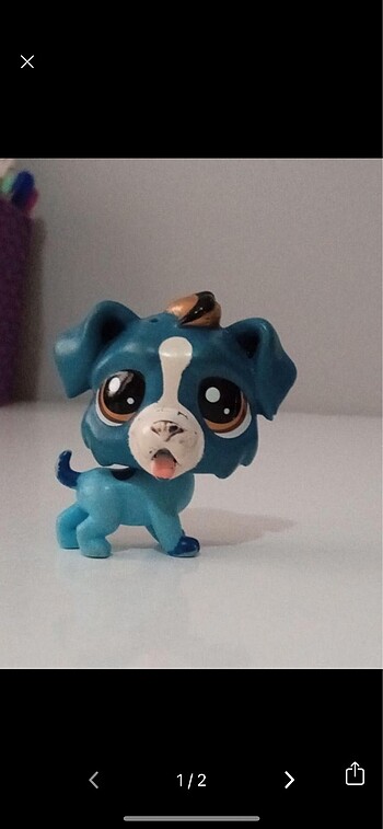 Lps miniş köpek