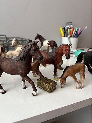 Beden Schleich at koleksiyonu