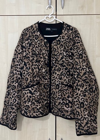 Zara m