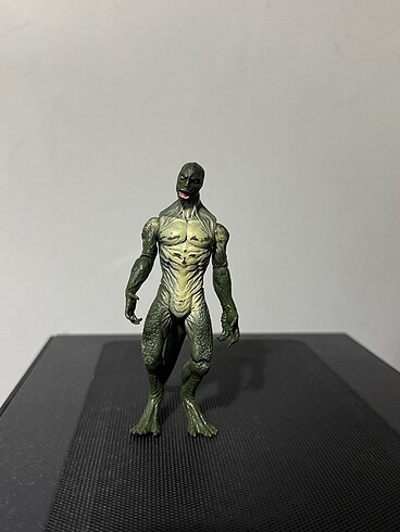 lizard