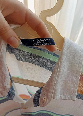 Erkek Çocuk Renkli Düğmeli Kısa Kollu Gömlek - Görsel 2