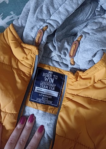 Sarı Kapüşonlu Erkek Çocuk Yelek - Görsel 2