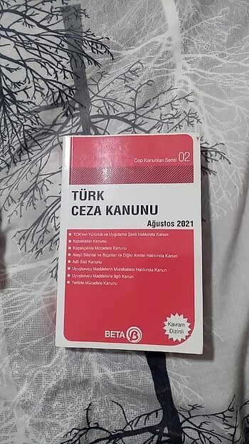 Türk Ceza kanunu