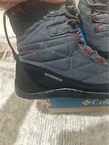 36 Beden Columbia bot