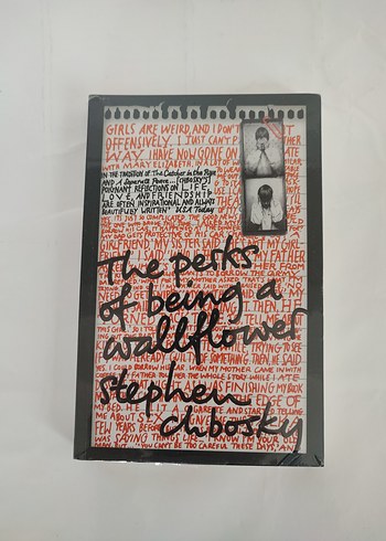 Stephen C. Dewitt'in 'The Perks of Being a Wallflower'