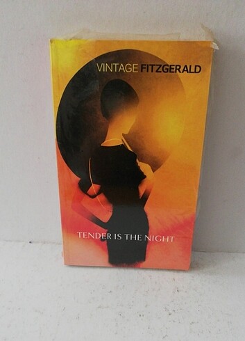 Tender is The Night Fitzgerald 