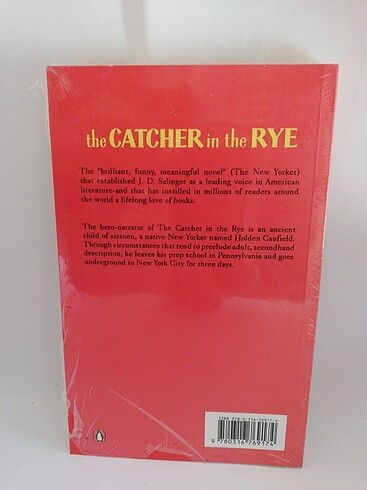  The Catcher in the Rye 