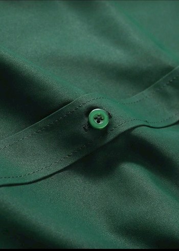 Erkek Yeşil Uzun Kollu Regular Fit Gömlek - Görsel 3