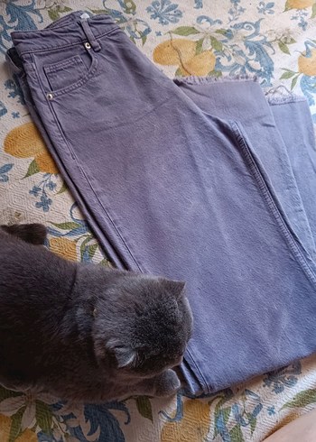Vatkalı Jean